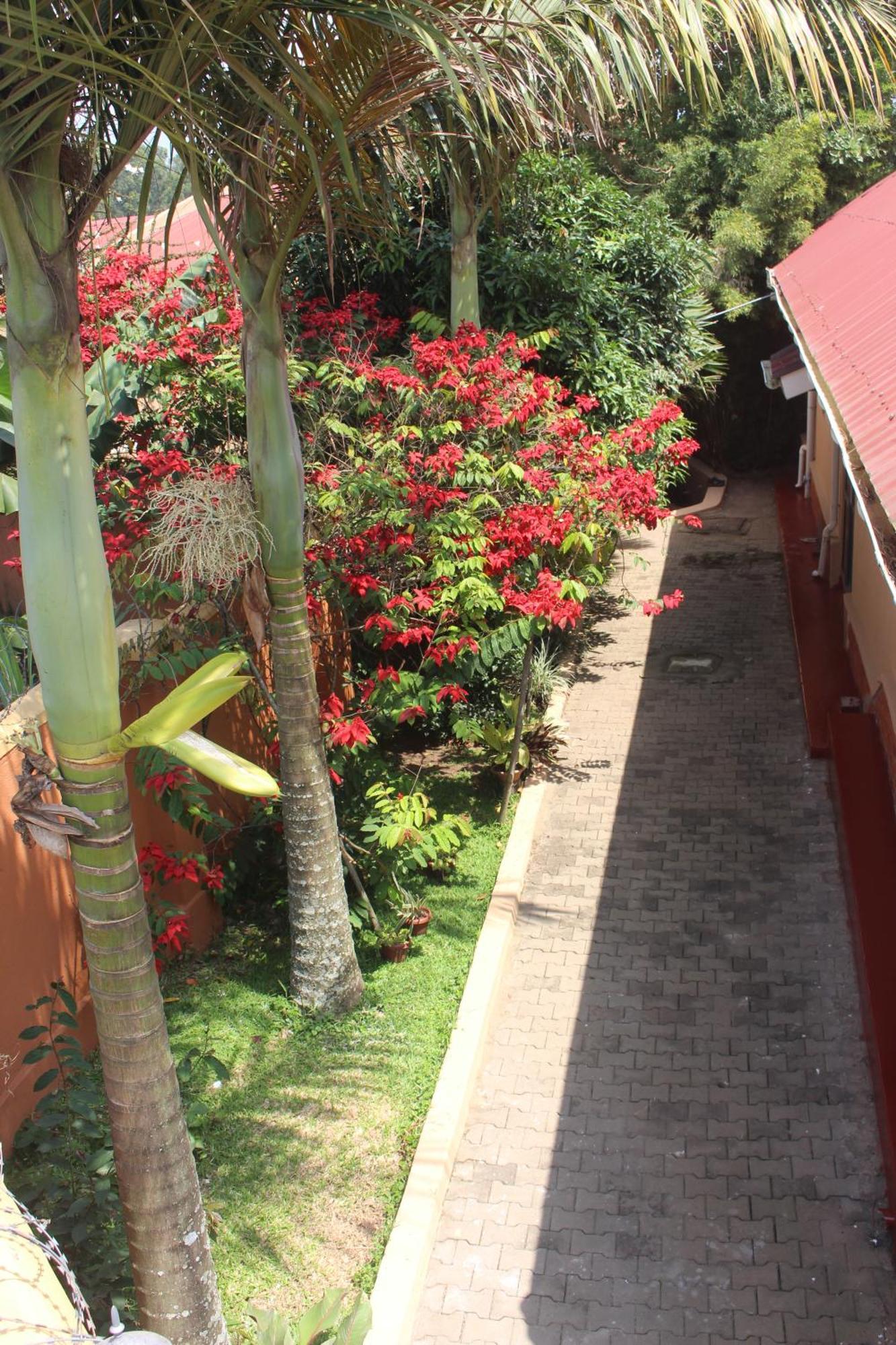 Montane Safaris Hotel Fort Portal Exteriér fotografie